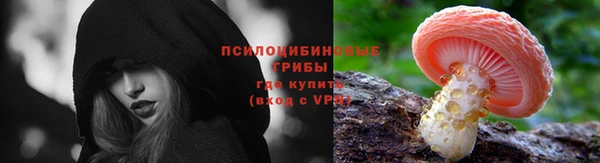 ешки Алексеевка