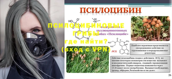 ешки Алексеевка
