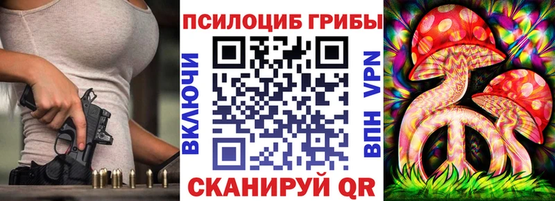 мега маркетплейс  Мураши  Галлюциногенные грибы Psilocybe 